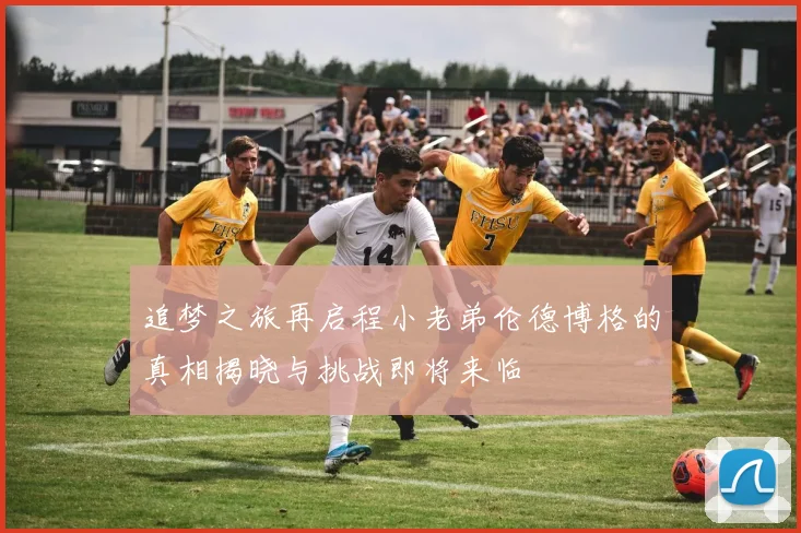 追梦之旅再启程小老弟伦德博格的真相揭晓与挑战即将来临