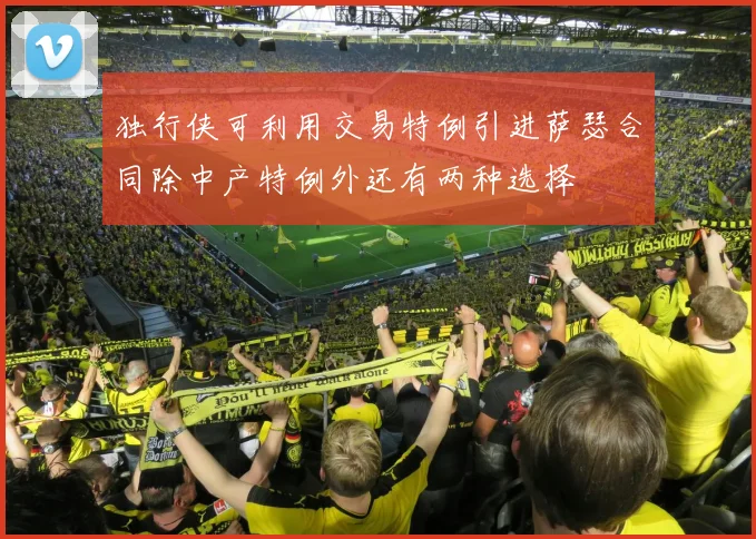 独行侠可利用交易特例引进萨瑟合同除中产特例外还有两种选择